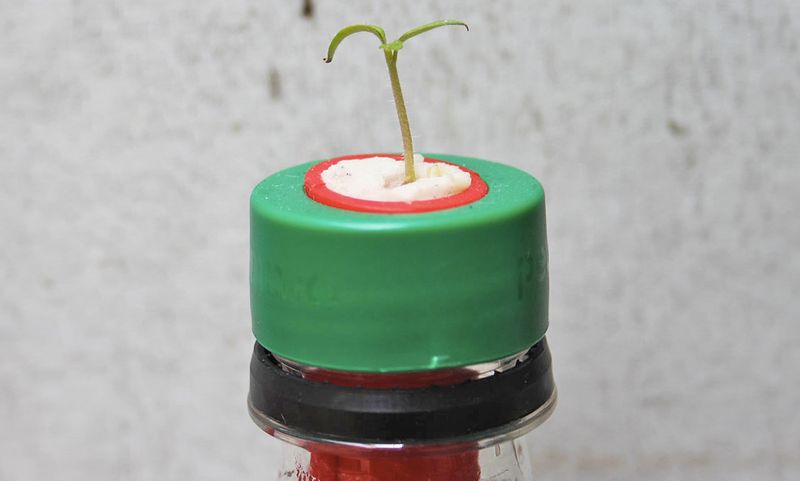 Illustration for article titled Seed-Filled Caps Turn Plastic Bottles Into Tiny Gardens